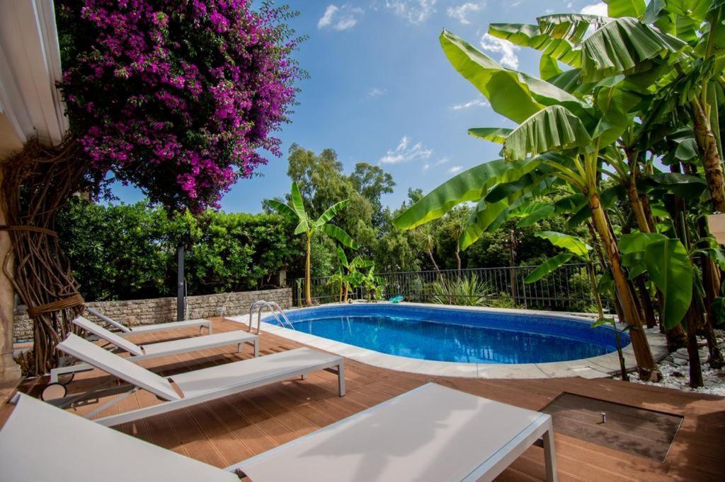 Vila Oliva Herceg Novi Ngoại thất bức ảnh