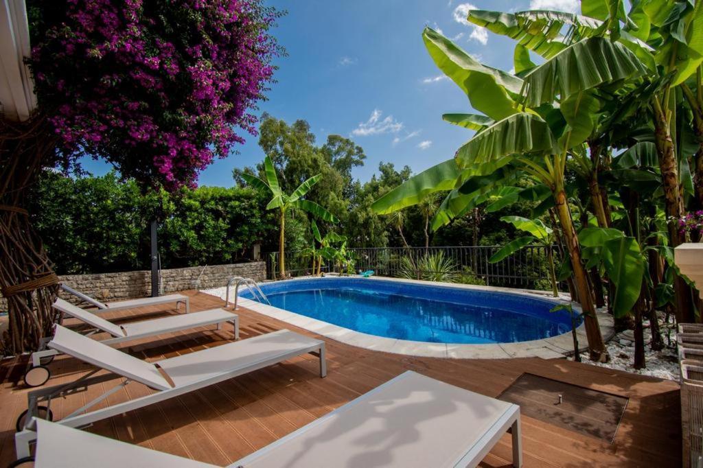 Vila Oliva Herceg Novi Ngoại thất bức ảnh
